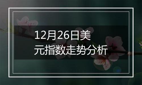 12月26日美元指数走势分析