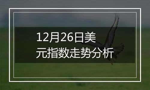 12月26日美元指数走势分析