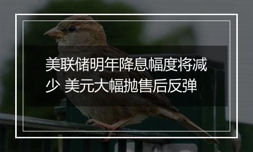 美联储明年降息幅度将减少 美元大幅抛售后反弹