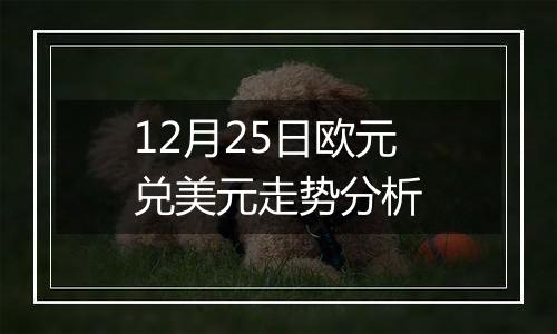 12月25日欧元兑美元走势分析