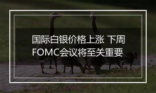 国际白银价格上涨 下周FOMC会议将至关重要