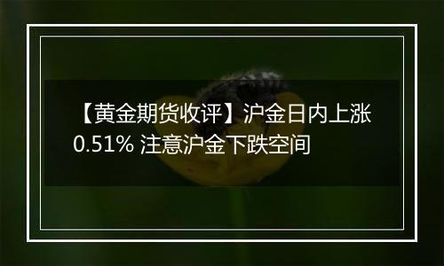 【黄金期货收评】沪金日内上涨0.51% 注意沪金下跌空间