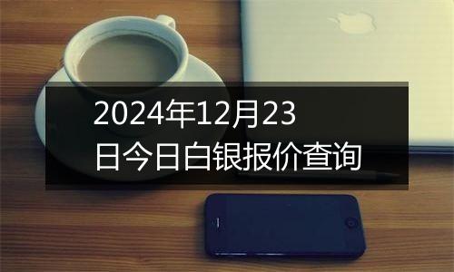 2024年12月23日今日白银报价查询