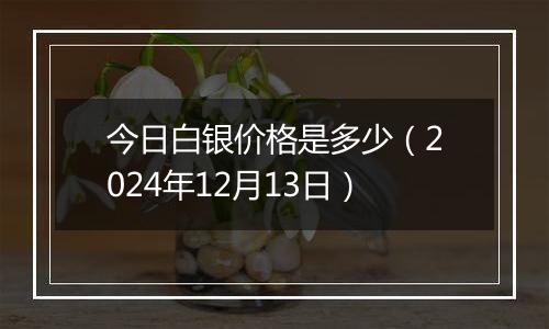 今日白银价格是多少（2024年12月13日）