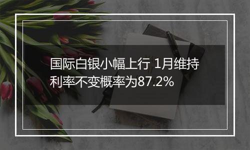 国际白银小幅上行 1月维持利率不变概率为87.2%