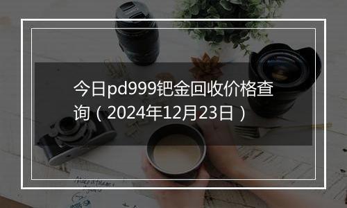 今日pd999钯金回收价格查询（2024年12月23日）