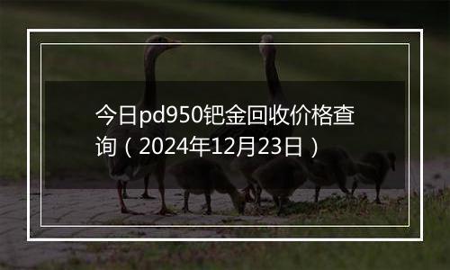 今日pd950钯金回收价格查询（2024年12月23日）