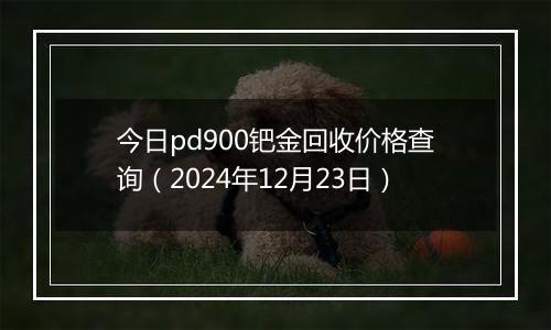 今日pd900钯金回收价格查询（2024年12月23日）