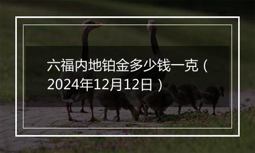 六福内地铂金多少钱一克（2024年12月12日）