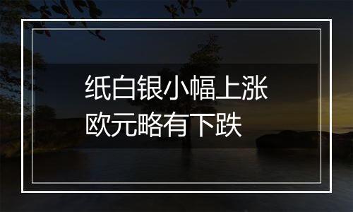 纸白银小幅上涨欧元略有下跌