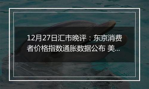 12月27日汇市晚评：东京消费者价格指数通胀数据公布 美元/日元从近期涨幅回落