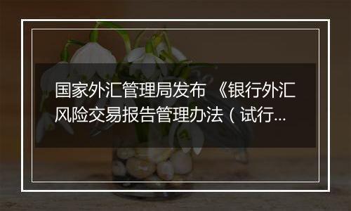 国家外汇管理局发布 《银行外汇风险交易报告管理办法（试行）》