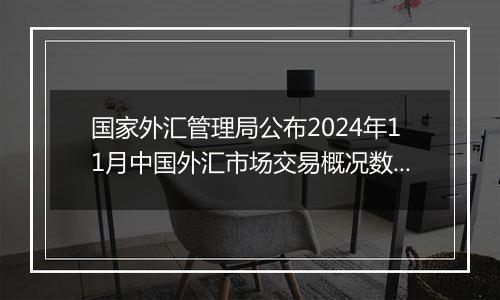 国家外汇管理局公布2024年11月中国外汇市场交易概况数据