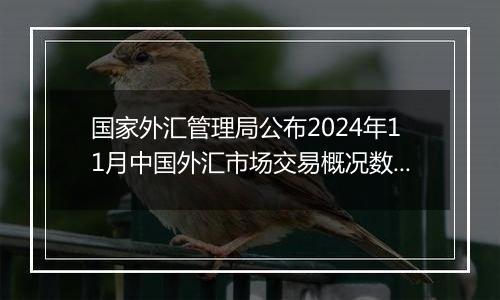 国家外汇管理局公布2024年11月中国外汇市场交易概况数据