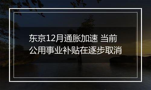 东京12月通胀加速 当前公用事业补贴在逐步取消