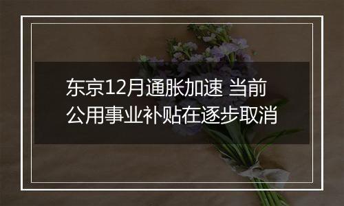 东京12月通胀加速 当前公用事业补贴在逐步取消