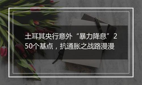 土耳其央行意外“暴力降息”250个基点，抗通胀之战路漫漫