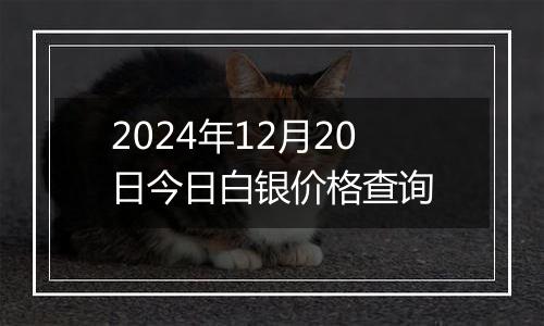 2024年12月20日今日白银价格查询