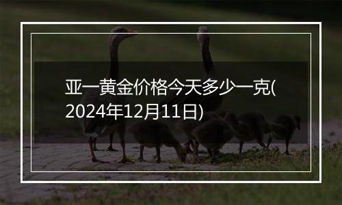 亚一黄金价格今天多少一克(2024年12月11日)