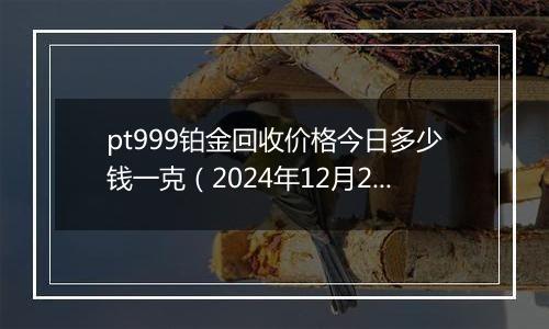 pt999铂金回收价格今日多少钱一克（2024年12月28日）