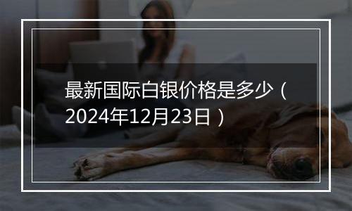 最新国际白银价格是多少（2024年12月23日）