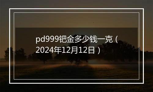 pd999钯金多少钱一克（2024年12月12日）