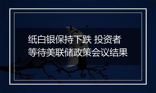 纸白银保持下跌 投资者等待美联储政策会议结果