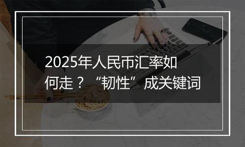 2025年人民币汇率如何走？“韧性”成关键词