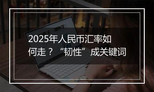 2025年人民币汇率如何走？“韧性”成关键词