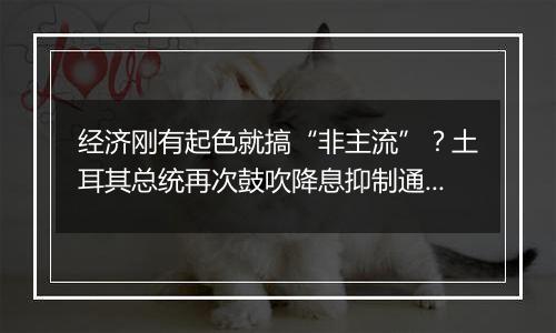 经济刚有起色就搞“非主流”？土耳其总统再次鼓吹降息抑制通胀理论