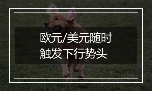 欧元/美元随时触发下行势头