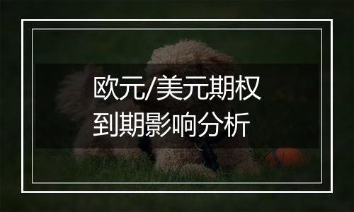 欧元/美元期权到期影响分析