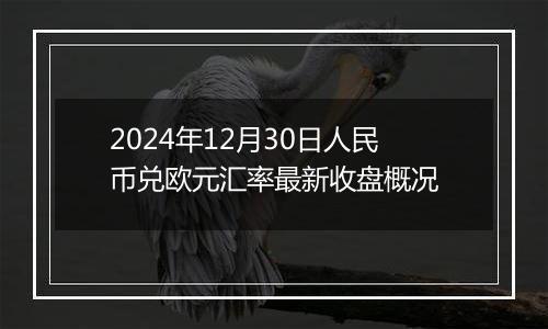 2024年12月30日人民币兑欧元汇率最新收盘概况