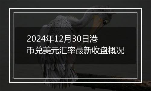 2024年12月30日港币兑美元汇率最新收盘概况