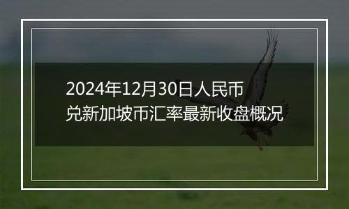 2024年12月30日人民币兑新加坡币汇率最新收盘概况