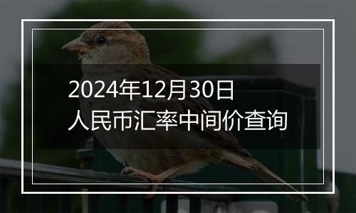 2024年12月30日人民币汇率中间价查询