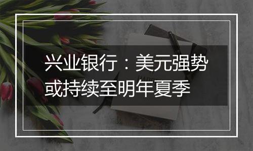 兴业银行：美元强势或持续至明年夏季