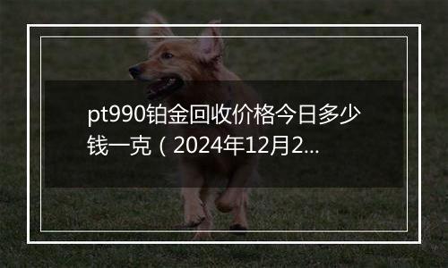 pt990铂金回收价格今日多少钱一克（2024年12月21日）