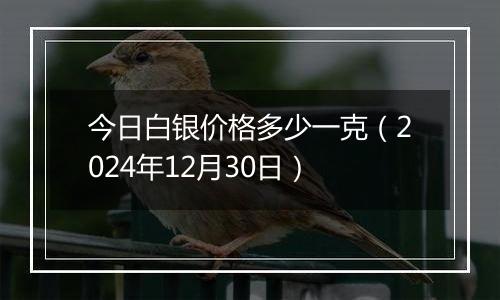 今日白银价格多少一克（2024年12月30日）