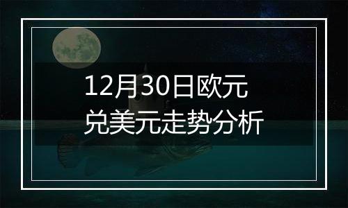 12月30日欧元兑美元走势分析