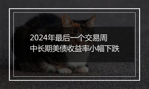 2024年最后一个交易周 中长期美债收益率小幅下跌