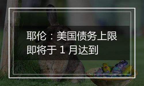 耶伦：美国债务上限即将于 1 月达到