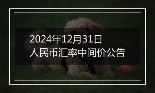 2024年12月31日人民币汇率中间价公告