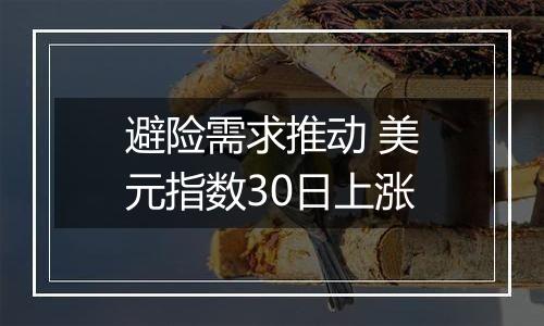 避险需求推动 美元指数30日上涨