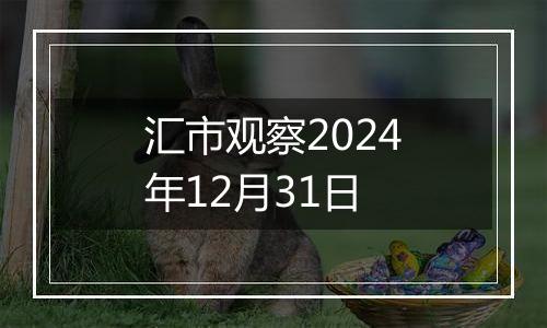 汇市观察2024年12月31日