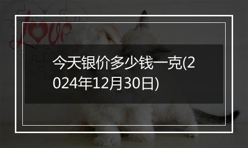 今天银价多少钱一克(2024年12月30日)