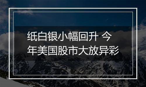 纸白银小幅回升 今年美国股市大放异彩