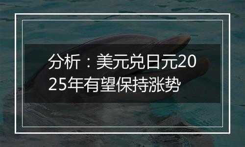 分析：美元兑日元2025年有望保持涨势