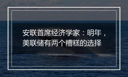 安联首席经济学家：明年，美联储有两个糟糕的选择