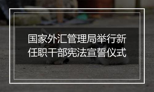 国家外汇管理局举行新任职干部宪法宣誓仪式